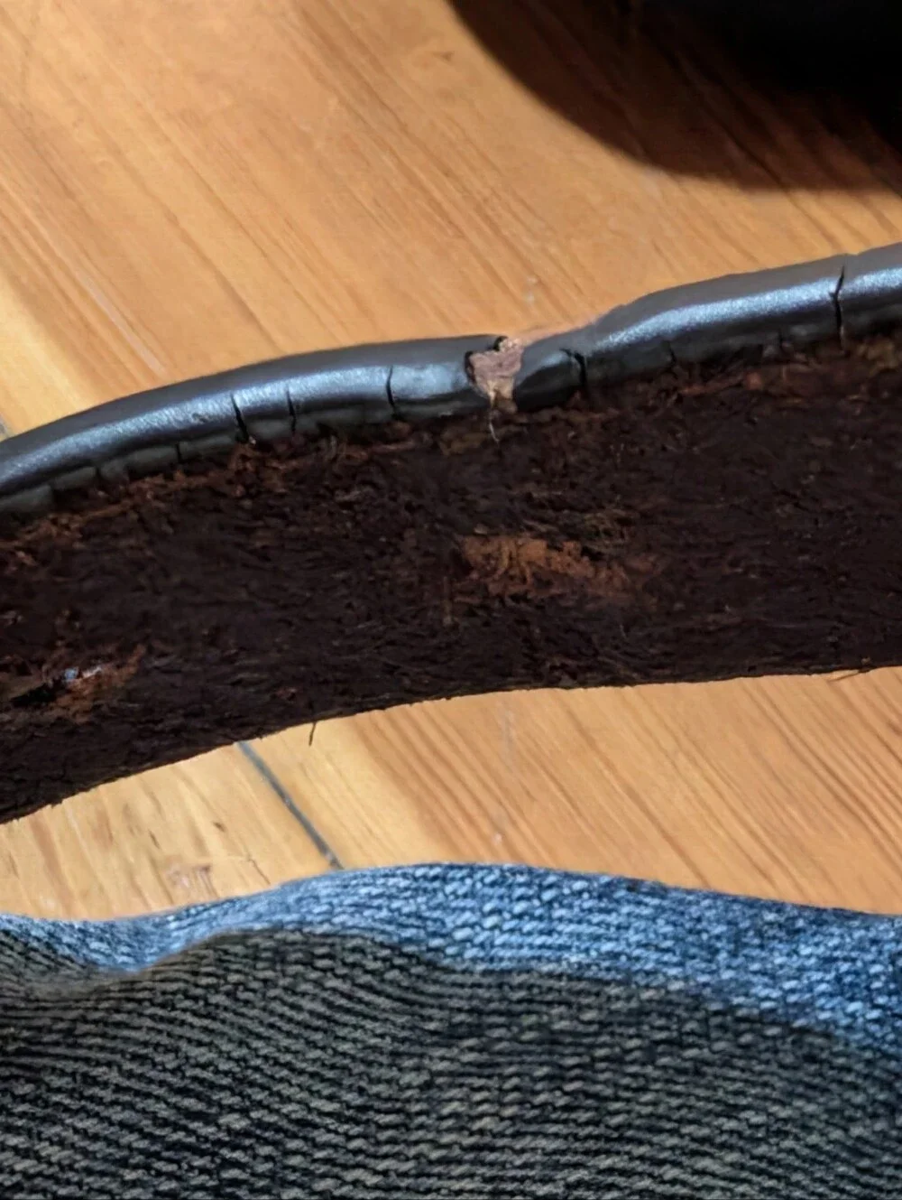Ariat Jocelyn Genuine Tooled Brown and Turquoise Leather Belt With Bling Buckle